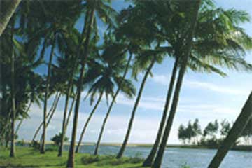 God's Own Country Kerala