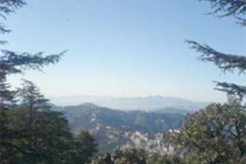 Indian Holidays, Shimla